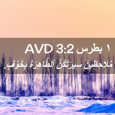 Picture 02 - ١ بطرس 3:2 AVD - مُلَاحِظِينَ سِيرَتَكُنَّ - Bible Verse Picture