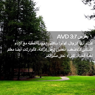 Picture 02 - ١ بطرس 3:7 AVD - كَذَلِكُمْ أَيُّهَا - Bible Verse Picture