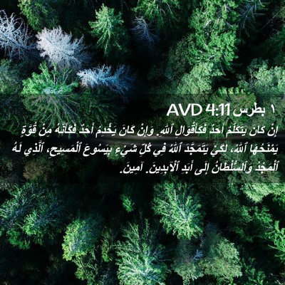 Picture 02 - ١ بطرس 4:11 AVD - إِنْ كَانَ يَتَكَلَّمُ - Bible Verse Picture