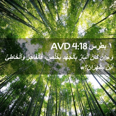 Picture 02 - ١ بطرس 4:18 AVD - وَ«إِنْ كَانَ ٱلْبَارُّ - Bible Verse Picture