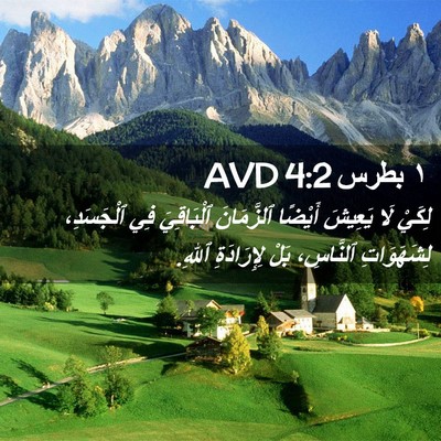 Picture 02 - ١ بطرس 4:2 AVD - لِكَيْ لَا يَعِيشَ أَيْضًا - Bible Verse Picture