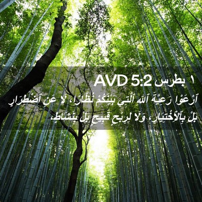 Picture 02 - ١ بطرس 5:2 AVD - ٱرْعَوْا رَعِيَّةَ ٱللهِ - Bible Verse Picture