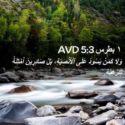 Picture 02 - ١ بطرس 5:3 AVD - وَلَا كَمَنْ يَسُودُ عَلَى - Bible Verse Picture