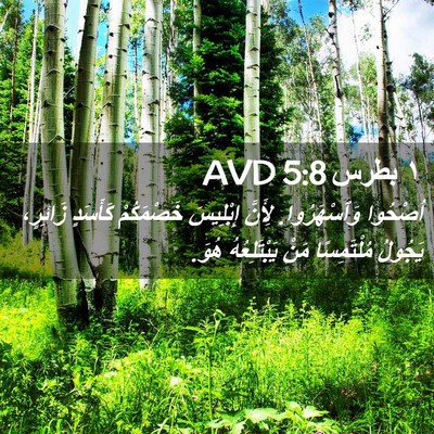 Picture 02 - ١ بطرس 5:8 AVD - اُصْحُوا وَٱسْهَرُوا. - Bible Verse Picture