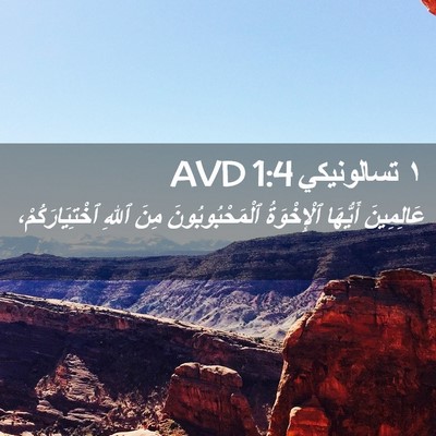 Picture 02 - ١ تسالونيكي 1:4 AVD - عَالِمِينَ أَيُّهَا - Bible Verse Picture