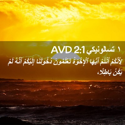 Picture 02 - ١ تسالونيكي 2:1 AVD - لِأَنَّكُمْ أَنْتُمْ - Bible Verse Picture