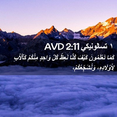 Picture 02 - ١ تسالونيكي 2:11 AVD - كَمَا تَعْلَمُونَ كَيْفَ - Bible Verse Picture