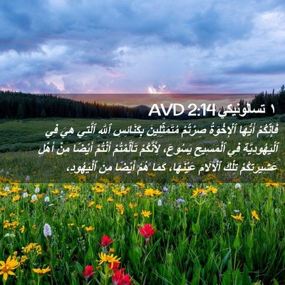 Picture 02 - ١ تسالونيكي 2:14 AVD - فَإِنِّكُمْ أَيُّهَا - Bible Verse Picture