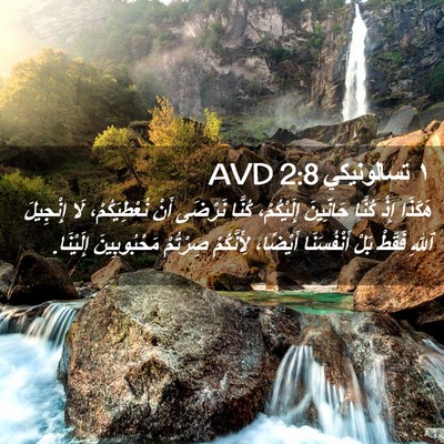 Picture 02 - ١ تسالونيكي 2:8 AVD - هَكَذَا إِذْ كُنَّا - Bible Verse Picture