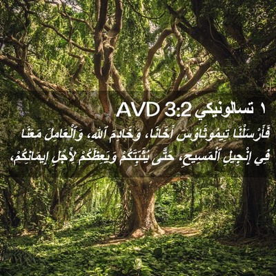 Picture 02 - ١ تسالونيكي 3:2 AVD - فَأَرْسَلْنَا - Bible Verse Picture