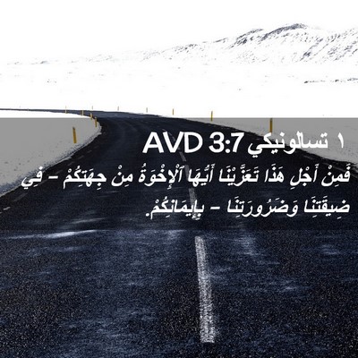 Picture 02 - ١ تسالونيكي 3:7 AVD - فَمِنْ أَجْلِ هَذَا - Bible Verse Picture