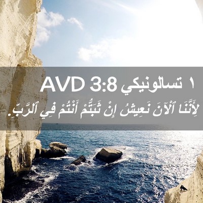Picture 02 - ١ تسالونيكي 3:8 AVD - لِأَنَّنَا ٱلْآنَ نَعِيشُ - Bible Verse Picture
