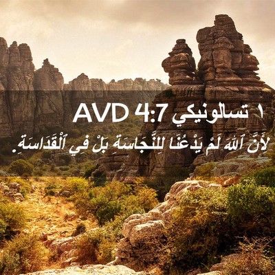 Picture 02 - ١ تسالونيكي 4:7 AVD - لِأَنَّ ٱللهَ لَمْ - Bible Verse Picture