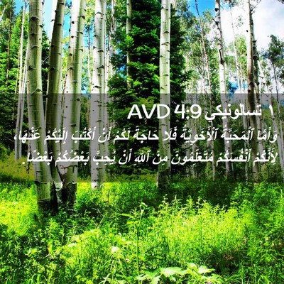 Picture 02 - ١ تسالونيكي 4:9 AVD - وَأَمَّا ٱلْمَحَبَّةُ - Bible Verse Picture