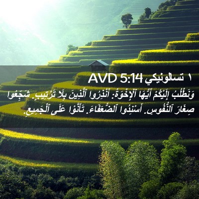 Picture 02 - ١ تسالونيكي 5:14 AVD - وَنَطْلُبُ إِلَيْكُمْ - Bible Verse Picture