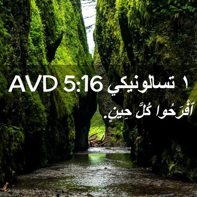 Picture 02 - ١ تسالونيكي 5:16 AVD - ٱفْرَحُوا كُلَّ - Bible Verse Picture