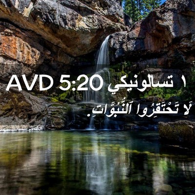 Picture 02 - ١ تسالونيكي 5:20 AVD - لَا تَحْتَقِرُوا - Bible Verse Picture