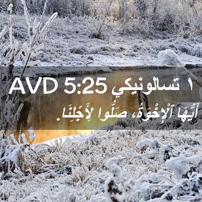 Picture 02 - ١ تسالونيكي 5:25 AVD - أَيُّهَا ٱلْإِخْوَةُ، - Bible Verse Picture