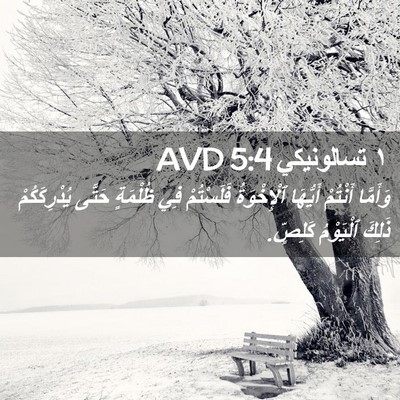 Picture 02 - ١ تسالونيكي 5:4 AVD - وَأَمَّا أَنْتُمْ - Bible Verse Picture