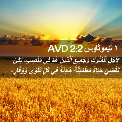 Picture 02 - ١ تيموثاوس 2:2 AVD - لِأَجْلِ ٱلْمُلُوكِ - Bible Verse Picture