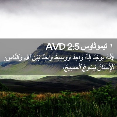 Picture 02 - ١ تيموثاوس 2:5 AVD - لِأَنَّهُ يُوجَدُ إِلَهٌ - Bible Verse Picture