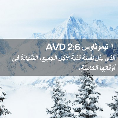 Picture 02 - ١ تيموثاوس 2:6 AVD - ٱلَّذِي بَذَلَ نَفْسَهُ - Bible Verse Picture