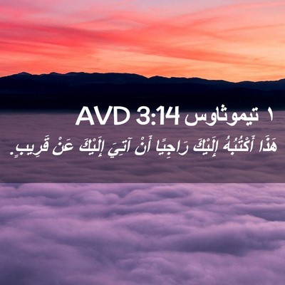 Picture 02 - ١ تيموثاوس 3:14 AVD - هَذَا أَكْتُبُهُ إِلَيْكَ - Bible Verse Picture