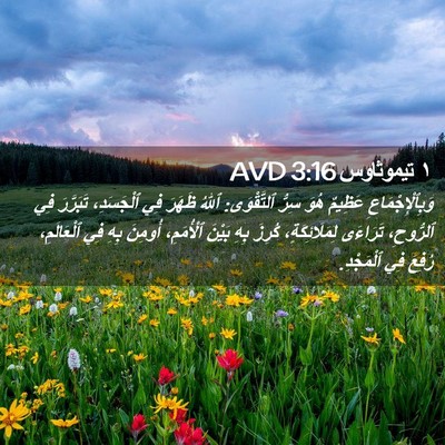 Picture 02 - ١ تيموثاوس 3:16 AVD - وَبِٱلْإِجْمَاعِ عَظِيمٌ - Bible Verse Picture