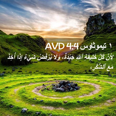 Picture 02 - ١ تيموثاوس 4:4 AVD - لِأَنَّ كُلَّ خَلِيقَةِ - Bible Verse Picture
