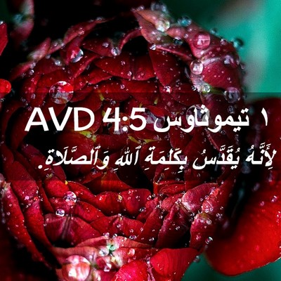 Picture 02 - ١ تيموثاوس 4:5 AVD - لِأَنَّهُ يُقَدَّسُ - Bible Verse Picture