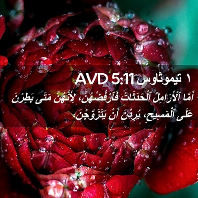 Picture 02 - ١ تيموثاوس 5:11 AVD - أَمَّا ٱلْأَرَامِلُ - Bible Verse Picture
