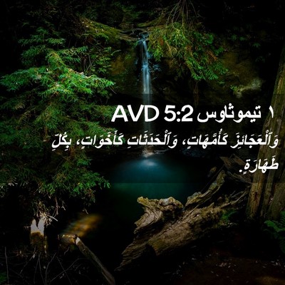 Picture 02 - ١ تيموثاوس 5:2 AVD - وَٱلْعَجَائِزَ - Bible Verse Picture