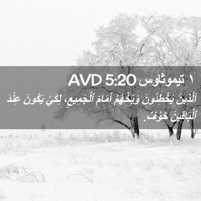 Picture 02 - ١ تيموثاوس 5:20 AVD - اَلَّذِينَ يُخْطِئُونَ - Bible Verse Picture