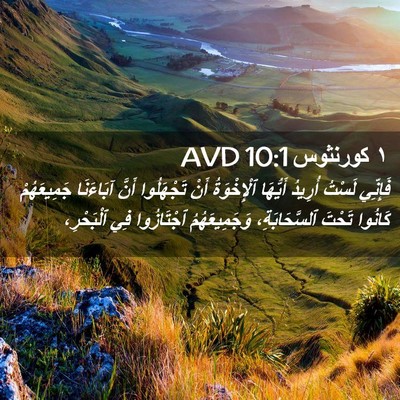 Picture 02 - ١ كورنثوس 10:1 AVD - فَإِنِّي لَسْتُ أُرِيدُ - Bible Verse Picture