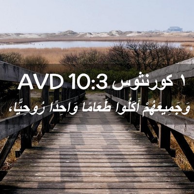 Picture 02 - ١ كورنثوس 10:3 AVD - وَجَمِيعَهُمْ أَكَلُوا - Bible Verse Picture