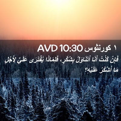 Picture 02 - ١ كورنثوس 10:30 AVD - فَإِنْ كُنْتُ أَنَا - Bible Verse Picture