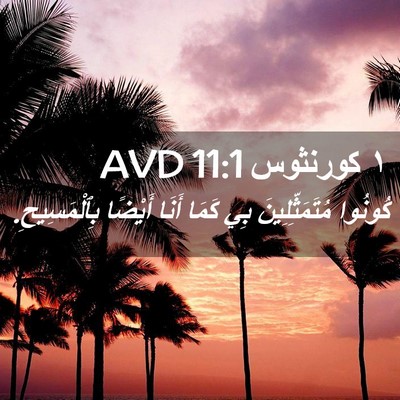 Picture 02 - ١ كورنثوس 11:1 AVD - كُونُوا مُتَمَثِّلِينَ - Bible Verse Picture