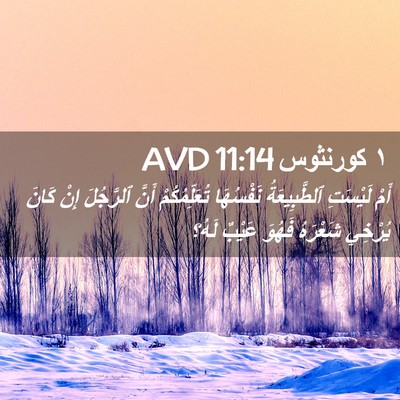 Picture 02 - ١ كورنثوس 11:14 AVD - أَمْ لَيْسَتِ - Bible Verse Picture