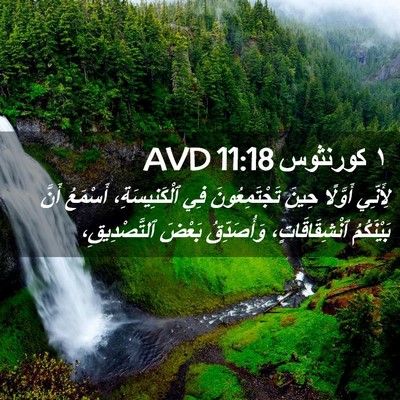 Picture 02 - ١ كورنثوس 11:18 AVD - لِأَنِّي أَوَّلًا حِينَ - Bible Verse Picture
