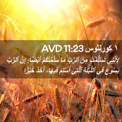 Picture 02 - ١ كورنثوس 11:23 AVD - لِأَنَّنِي تَسَلَّمْتُ - Bible Verse Picture