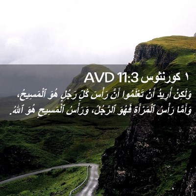 Picture 02 - ١ كورنثوس 11:3 AVD - وَلَكِنْ أُرِيدُ أَنْ - Bible Verse Picture