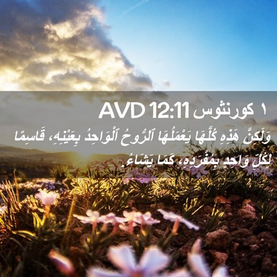 Picture 02 - ١ كورنثوس 12:11 AVD - وَلَكِنَّ هَذِهِ كُلَّهَا - Bible Verse Picture