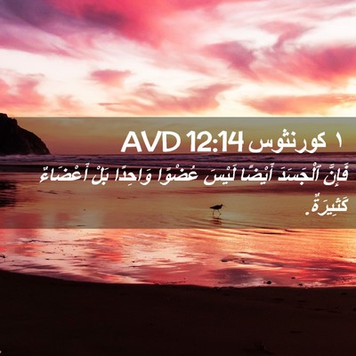 Picture 02 - ١ كورنثوس 12:14 AVD - فَإِنَّ ٱلْجَسَدَ أَيْضًا - Bible Verse Picture