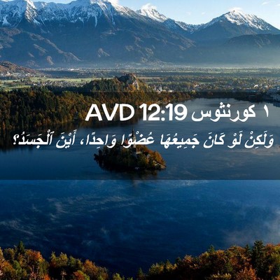 Picture 02 - ١ كورنثوس 12:19 AVD - وَلَكِنْ لَوْ كَانَ - Bible Verse Picture