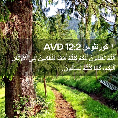 Picture 02 - ١ كورنثوس 12:2 AVD - أَنْتُمْ تَعْلَمُونَ - Bible Verse Picture