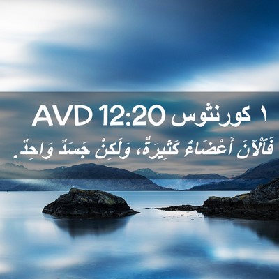 Picture 02 - ١ كورنثوس 12:20 AVD - فَٱلْآنَ أَعْضَاءٌ - Bible Verse Picture