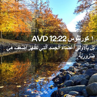 Picture 02 - ١ كورنثوس 12:22 AVD - بَلْ بِٱلْأَوْلَى - Bible Verse Picture