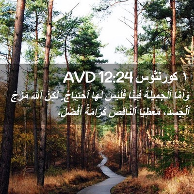 Picture 02 - ١ كورنثوس 12:24 AVD - وَأَمَّا ٱلْجَمِيلَةُ - Bible Verse Picture