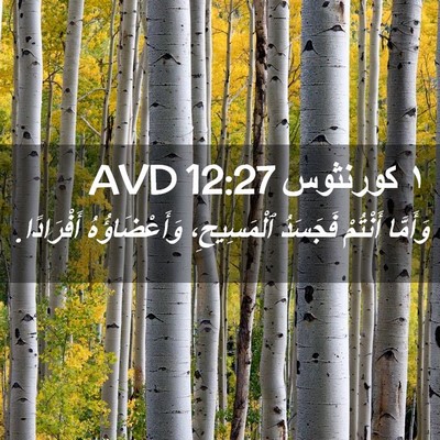 Picture 02 - ١ كورنثوس 12:27 AVD - وَأَمَّا أَنْتُمْ - Bible Verse Picture