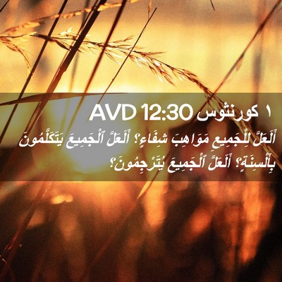 Picture 02 - ١ كورنثوس 12:30 AVD - أَلَعَلَّ لِلْجَمِيعِ - Bible Verse Picture